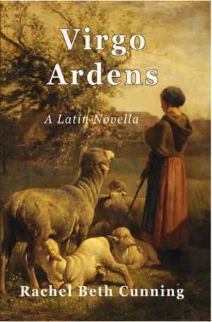 Virgo Ardens Classroom Set of 15 Books