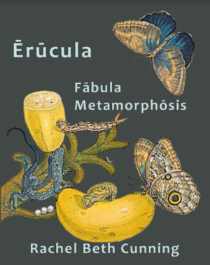 Erucula Fabula Metamorphosis